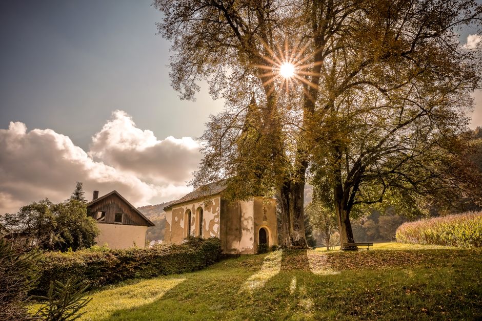Femeie de 72 de Ani Din Turda Găsită Moartă pe un Câmp lângă Moldovenești După Ce Dispăruse de pe 29 Aprilie