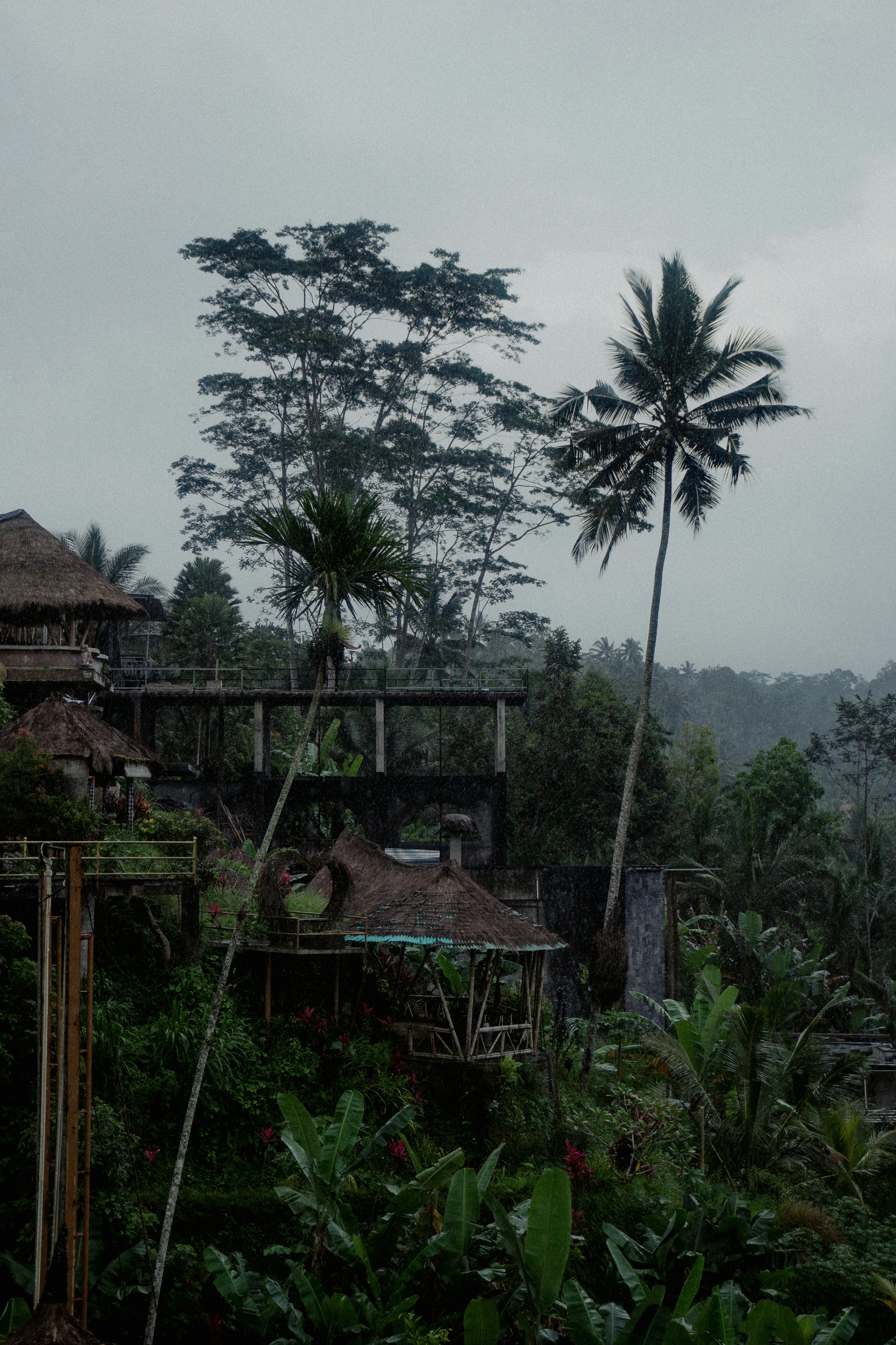 hotel in jungle village