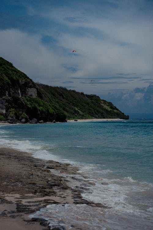 Steep Forested Slopes of Seashore