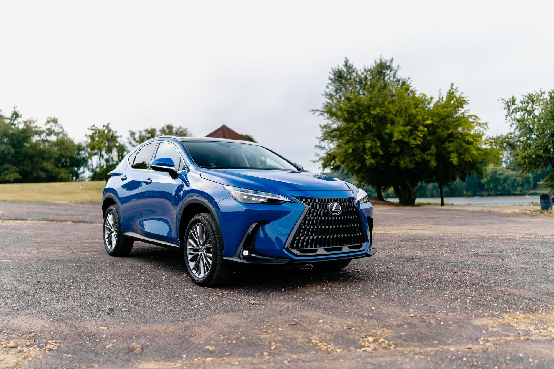 Elegant blue Lexus SUV parked outdoors with trees and open space, capturing a luxurious vibe.