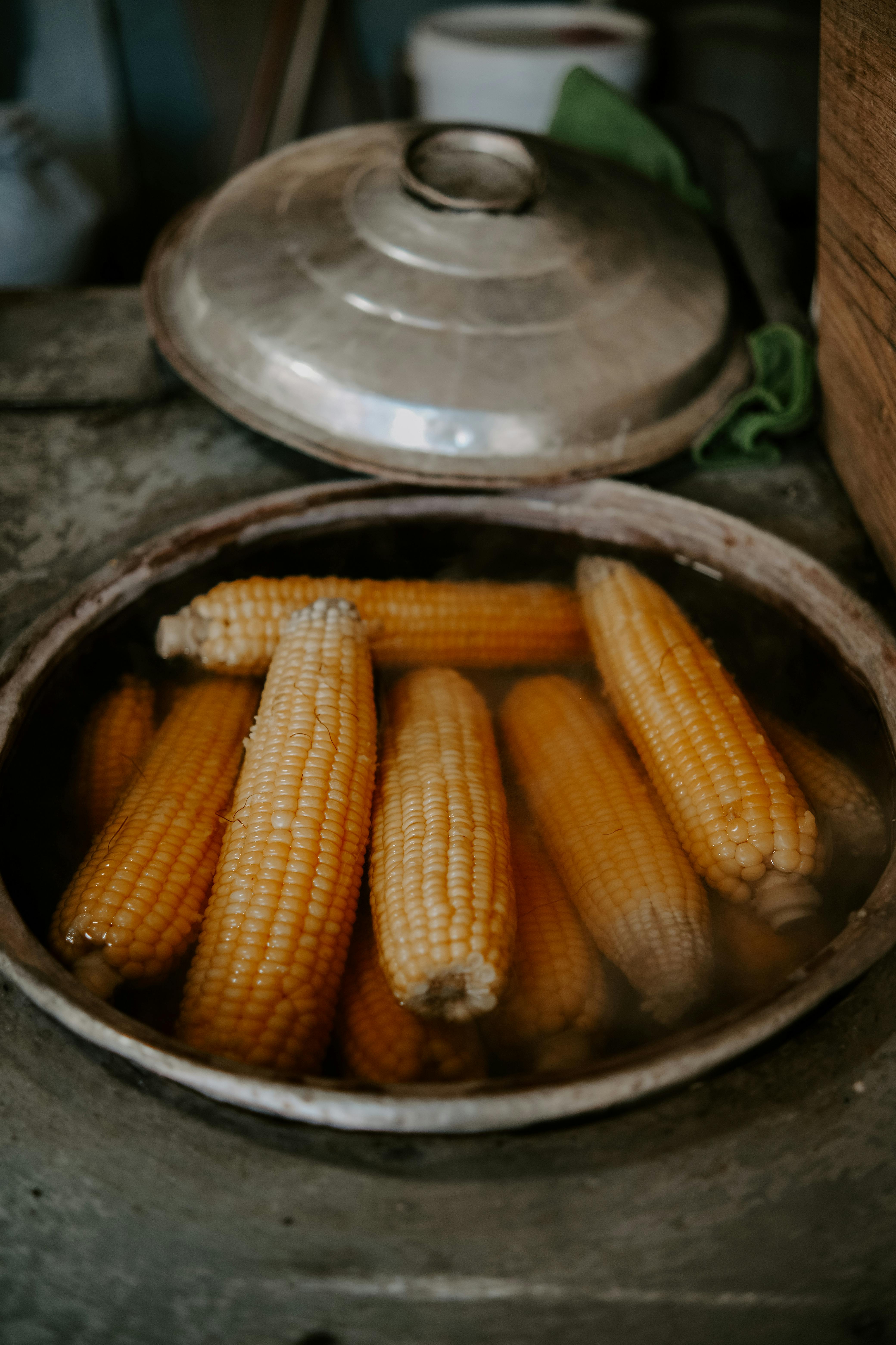 Corn Cobs in Pot · Free Stock Photo
