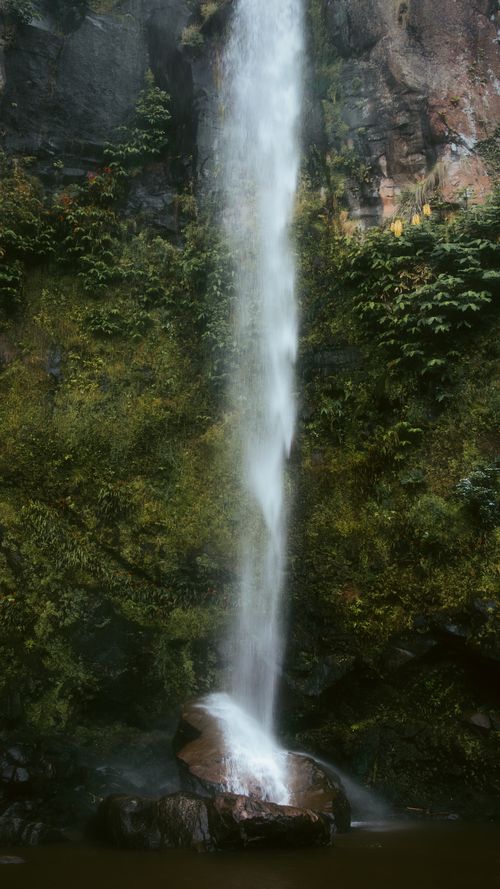 Free A stunning waterfall cascading down a cliff covered in lush greenery and moss, creating a serene natural scene. Stock Photo