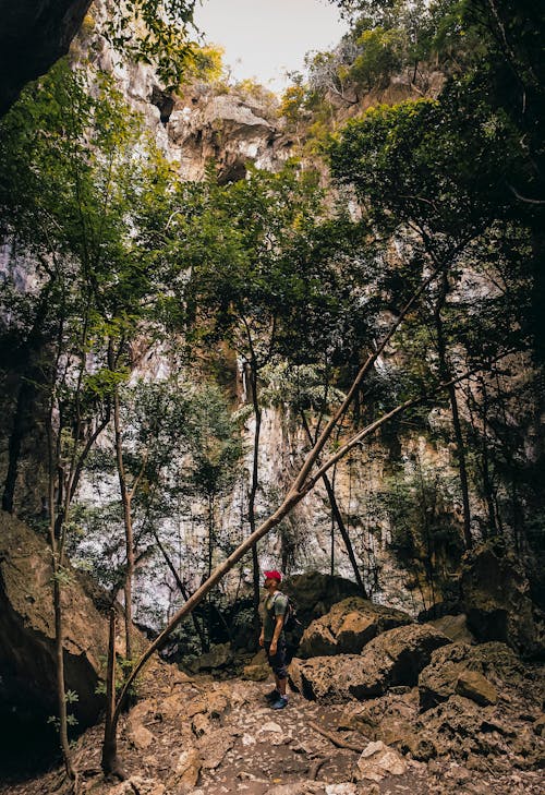 Man Standing on Brown Rock Formation in the Middle of Forest