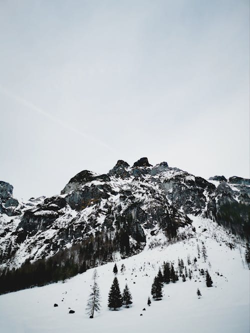 下雪的, 冬季, 垂直拍摄 的 免费素材图片