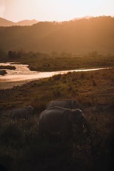 Image by Chintan Mehta