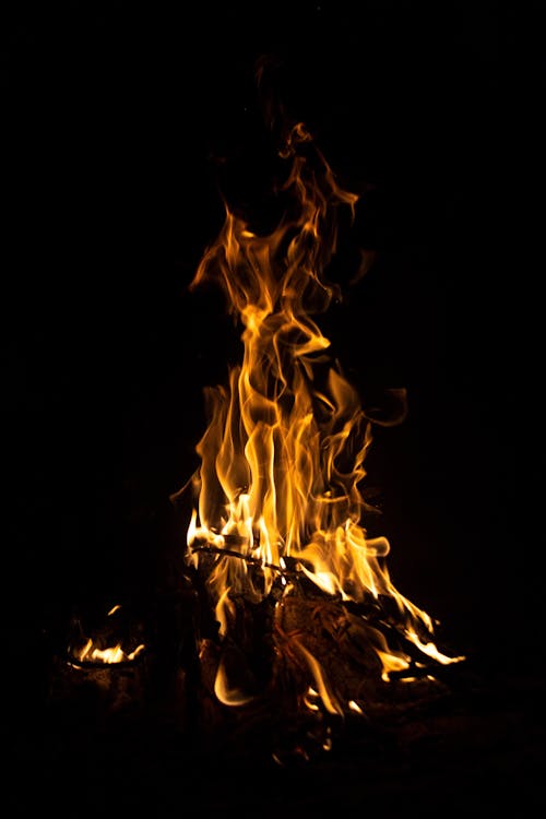 A Bonfire in the Dark