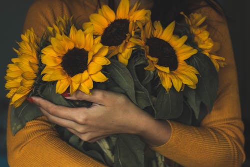 Mujer Sosteniendo Ramo De Girasoles