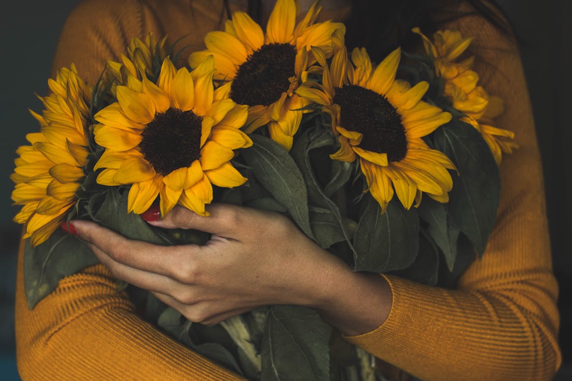 Free Woman Holding Bunch Of Sunflowers Stock Photo