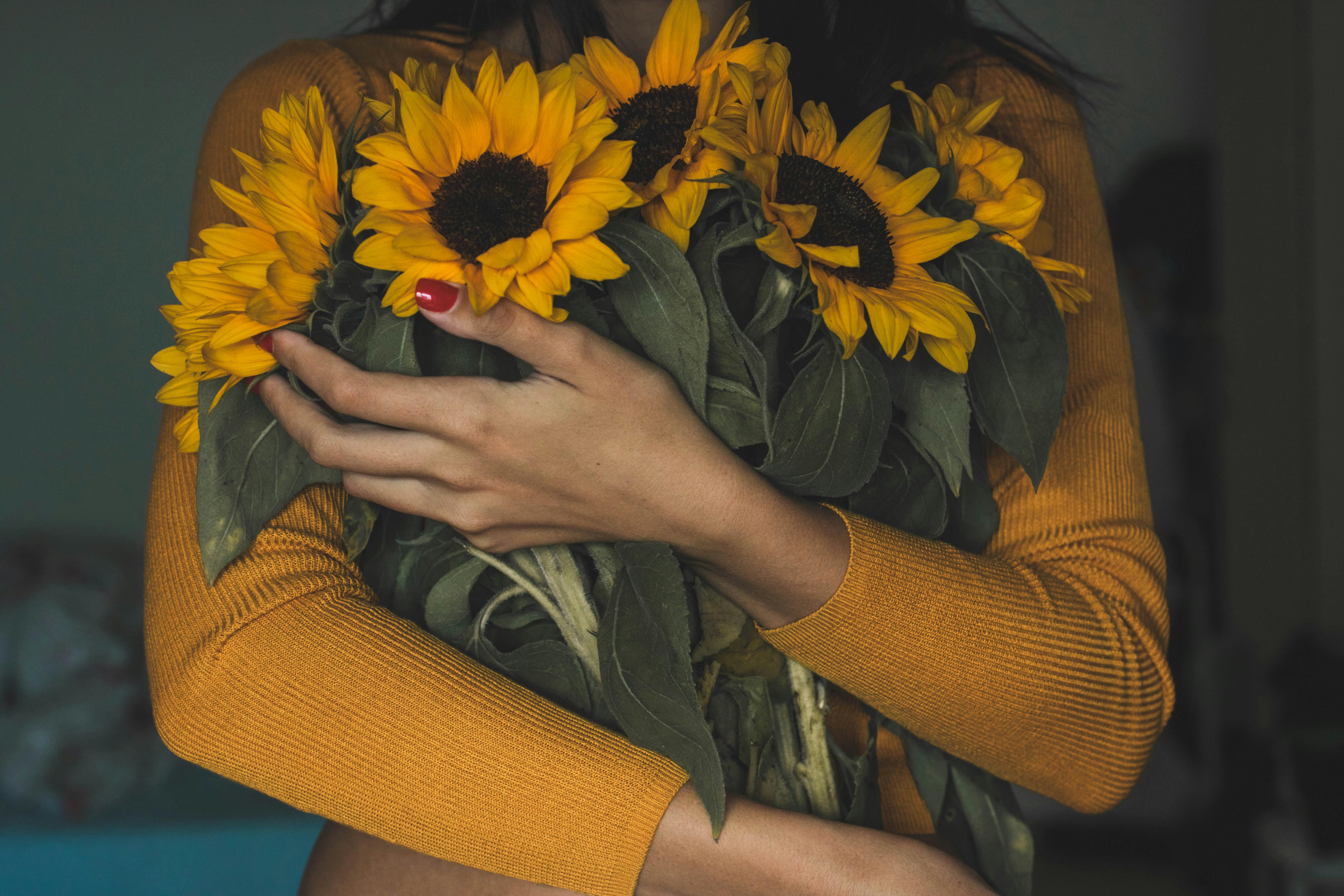 Foto Stok Gratis Tentang Berkembang  Buket Bunga  Matahari 