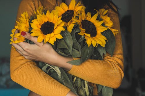 Free Woman Holding Bunch Of Sunflowers Stock Photo