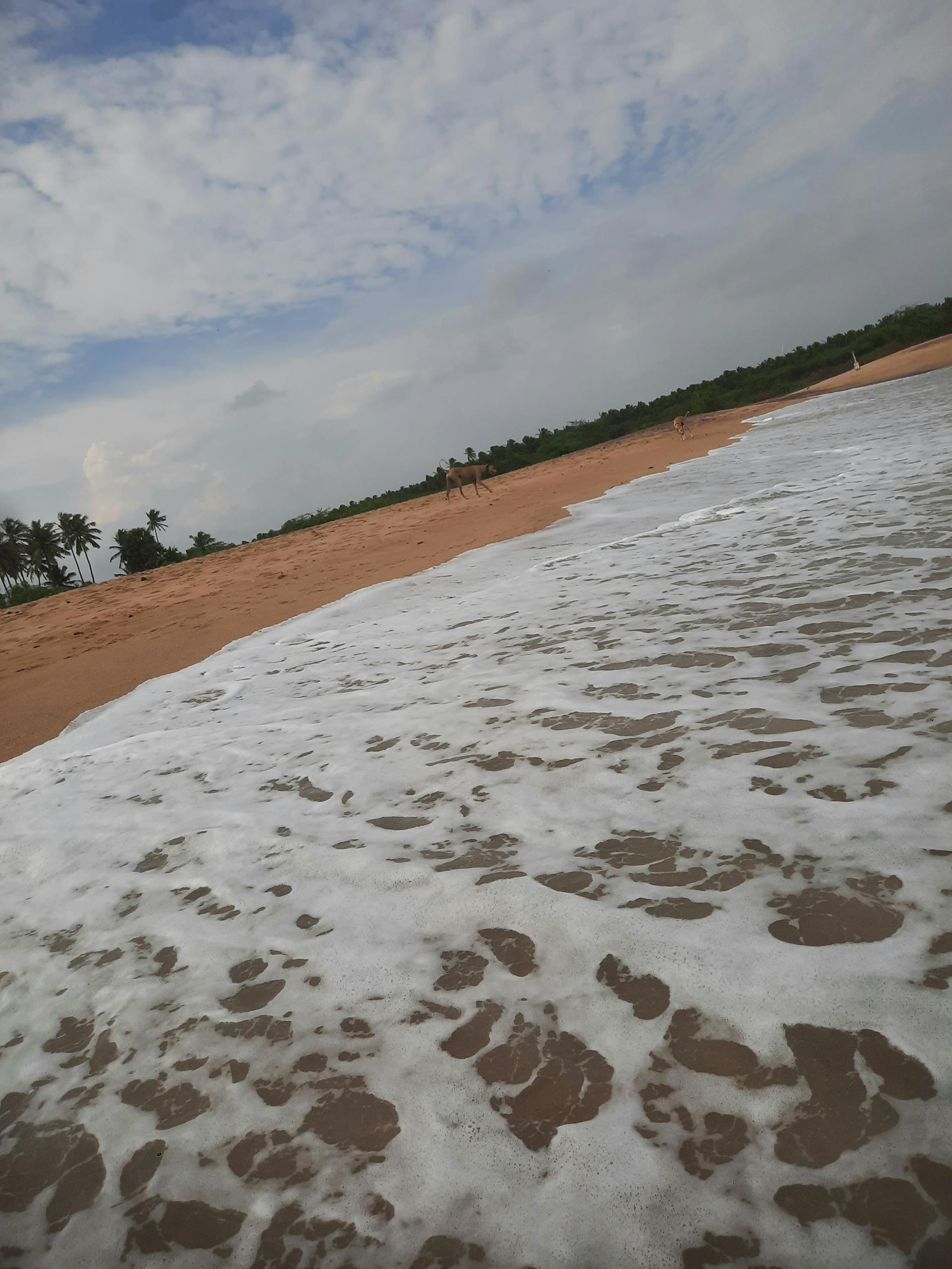 Notebook, pen, and coffee on a table used for planning a productive morning