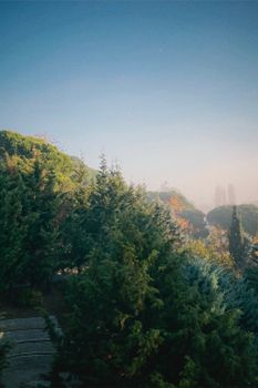 A tranquil misty morning in Istanbul showcasing lush greenery and fog.