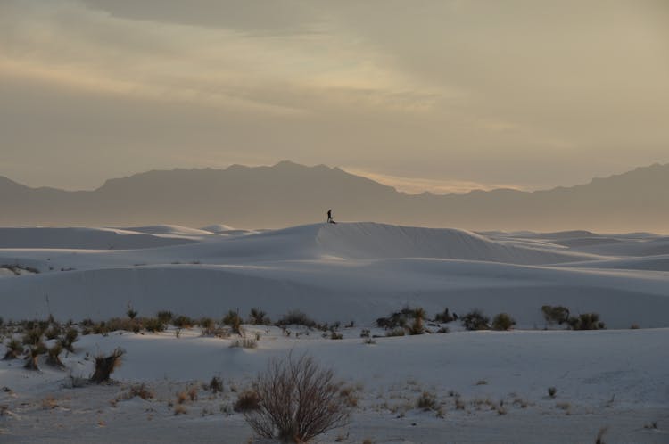 People On Top Of Snow Dune