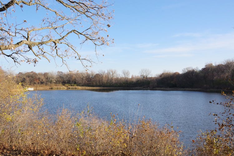 View On A Lake