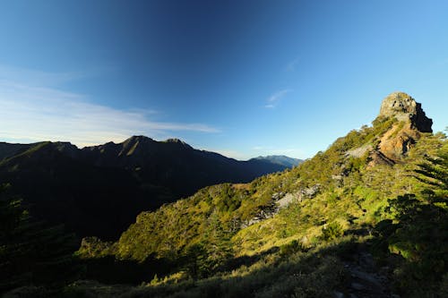 Forests on a Mountain Range