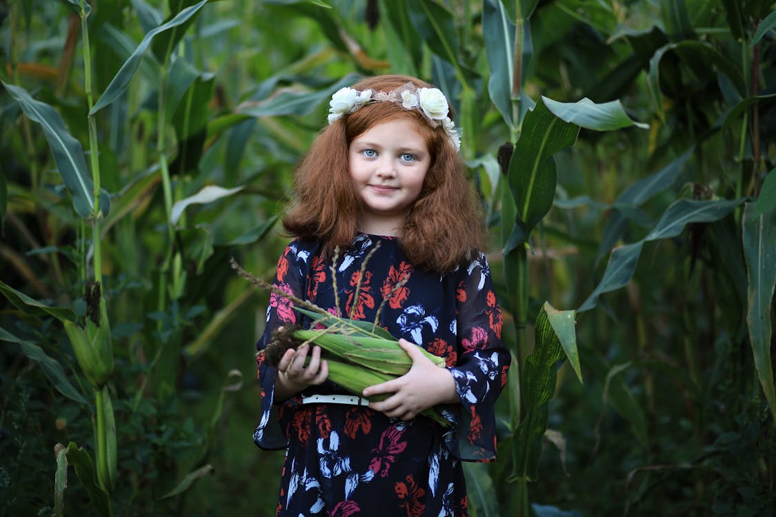 Girl Standing in a Cornfield Carrying Corn