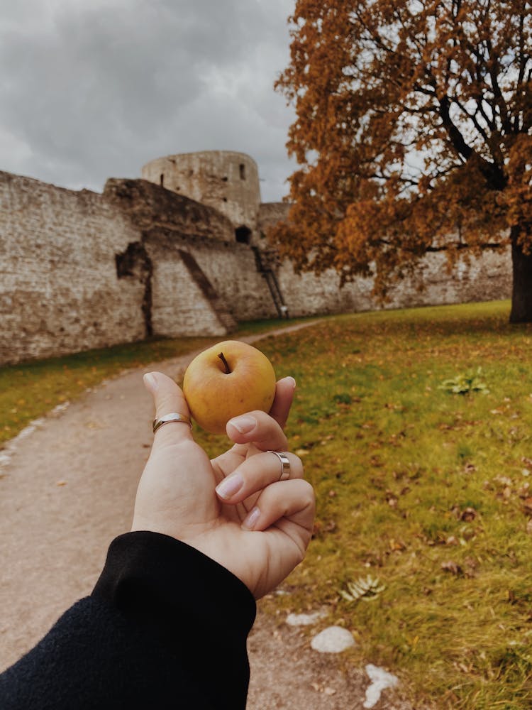 Man Holding An Apple While Standing On A Path 