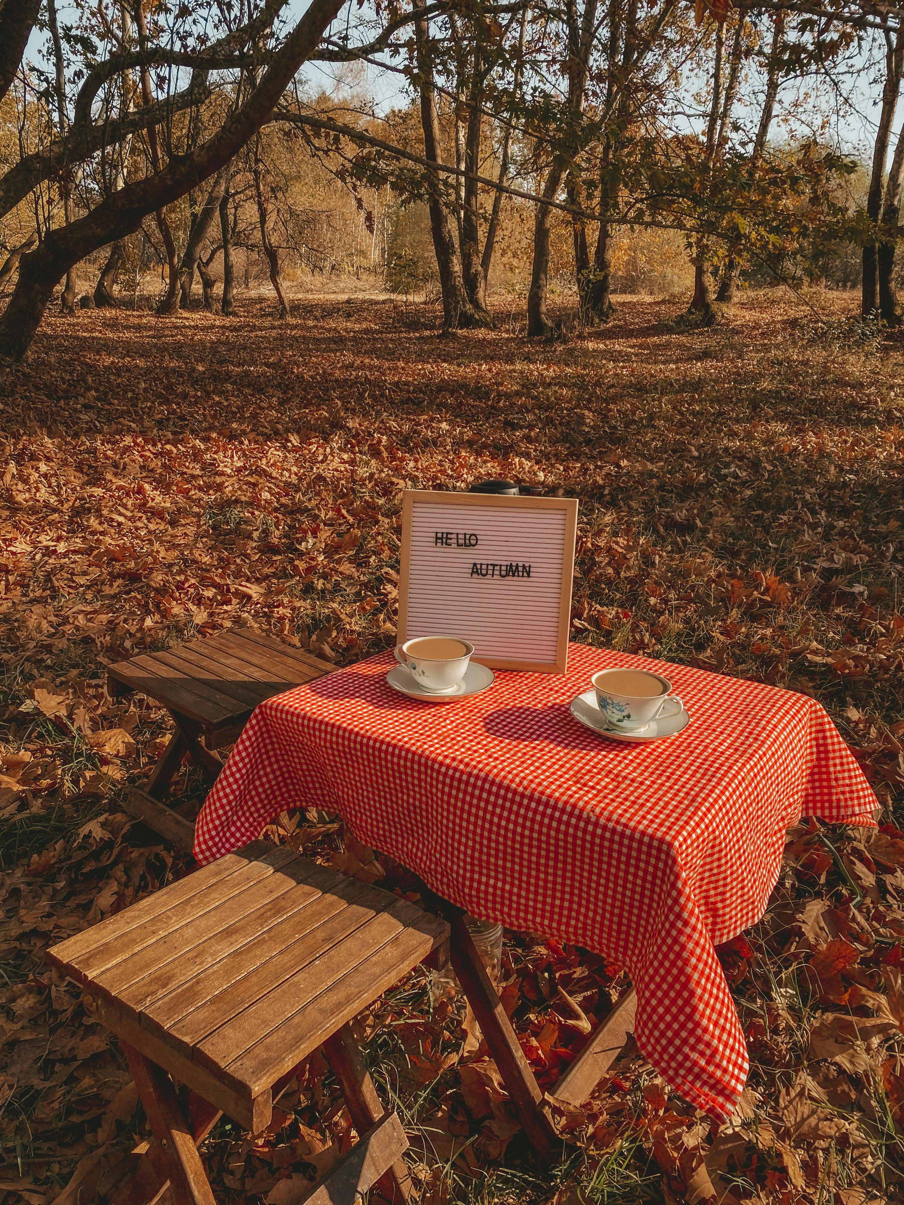 Inviting autumn scene with coffee cups on a table amidst a forest filled with fallen leaves.
