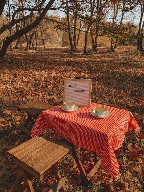 Immagine gratuita di alberi, autunno, caffè