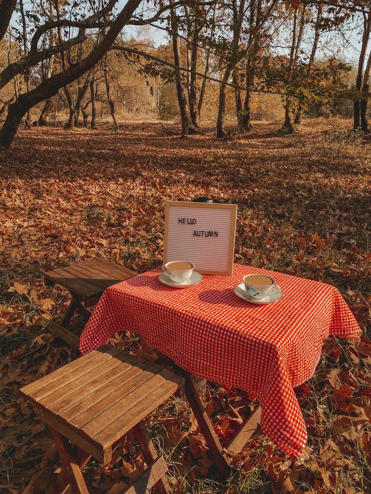 Coffee Cups On Table Set In Autumn Forest