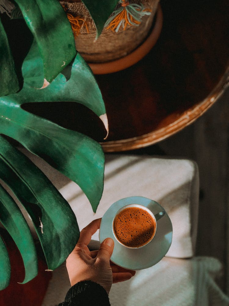 Hand Holding Cup Of Coffee In Sunlight