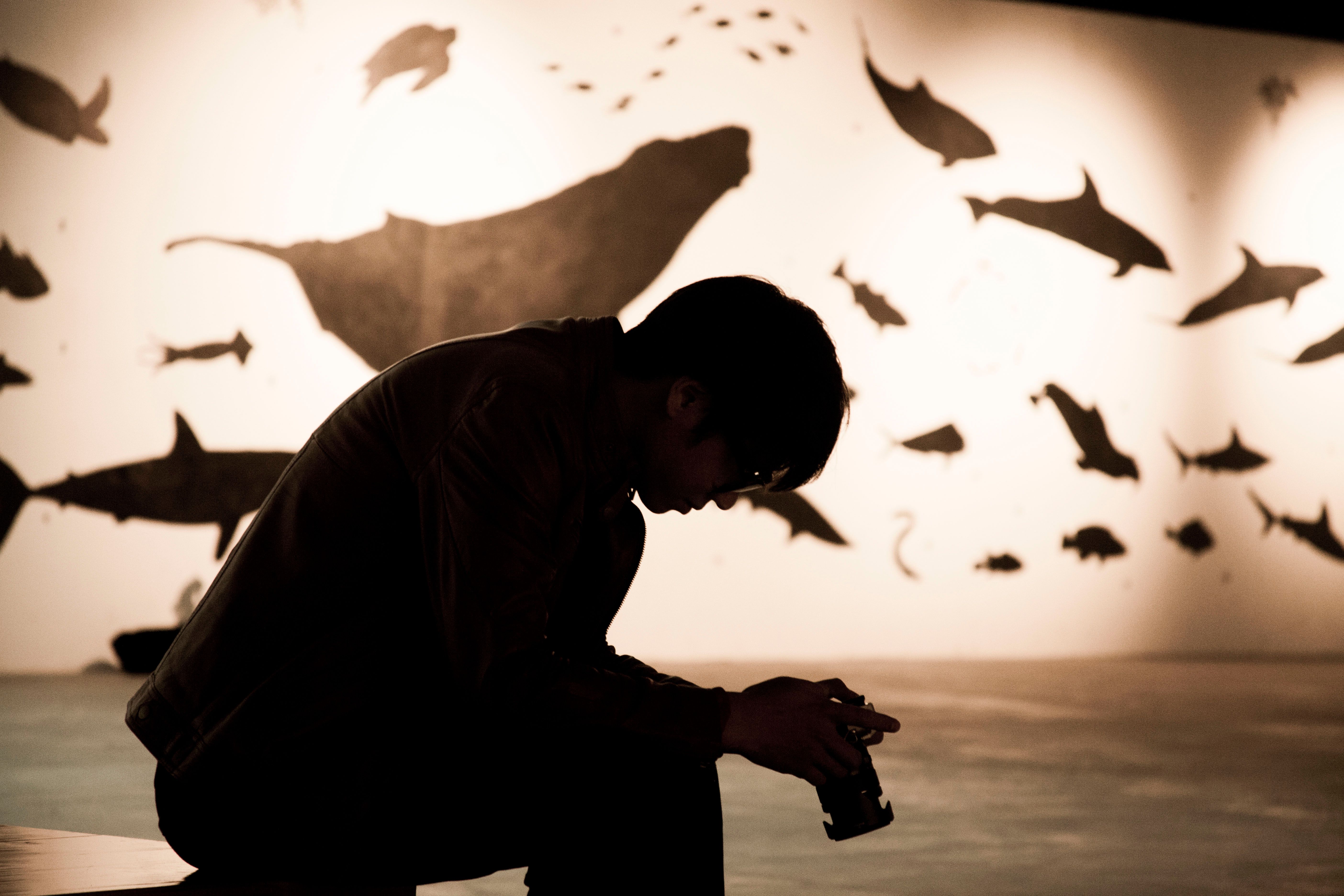 Moody silhouette of a photographer with aquatic mural in background.
