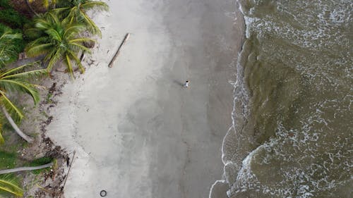 Бесплатное стоковое фото с Аэрофотосъемка, берег моря, пляж