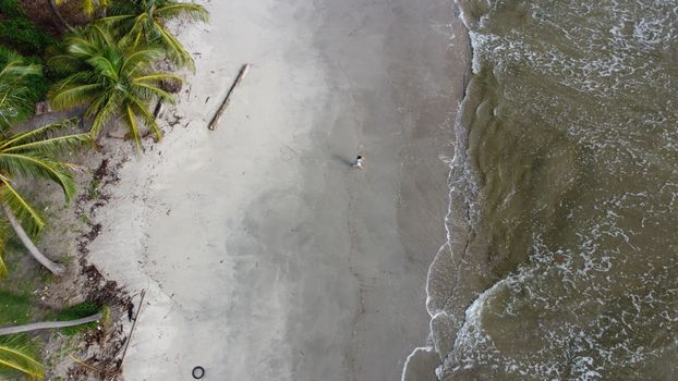Drone shot of Lower Manzanilla Beach showcasing palm trees and shoreline.