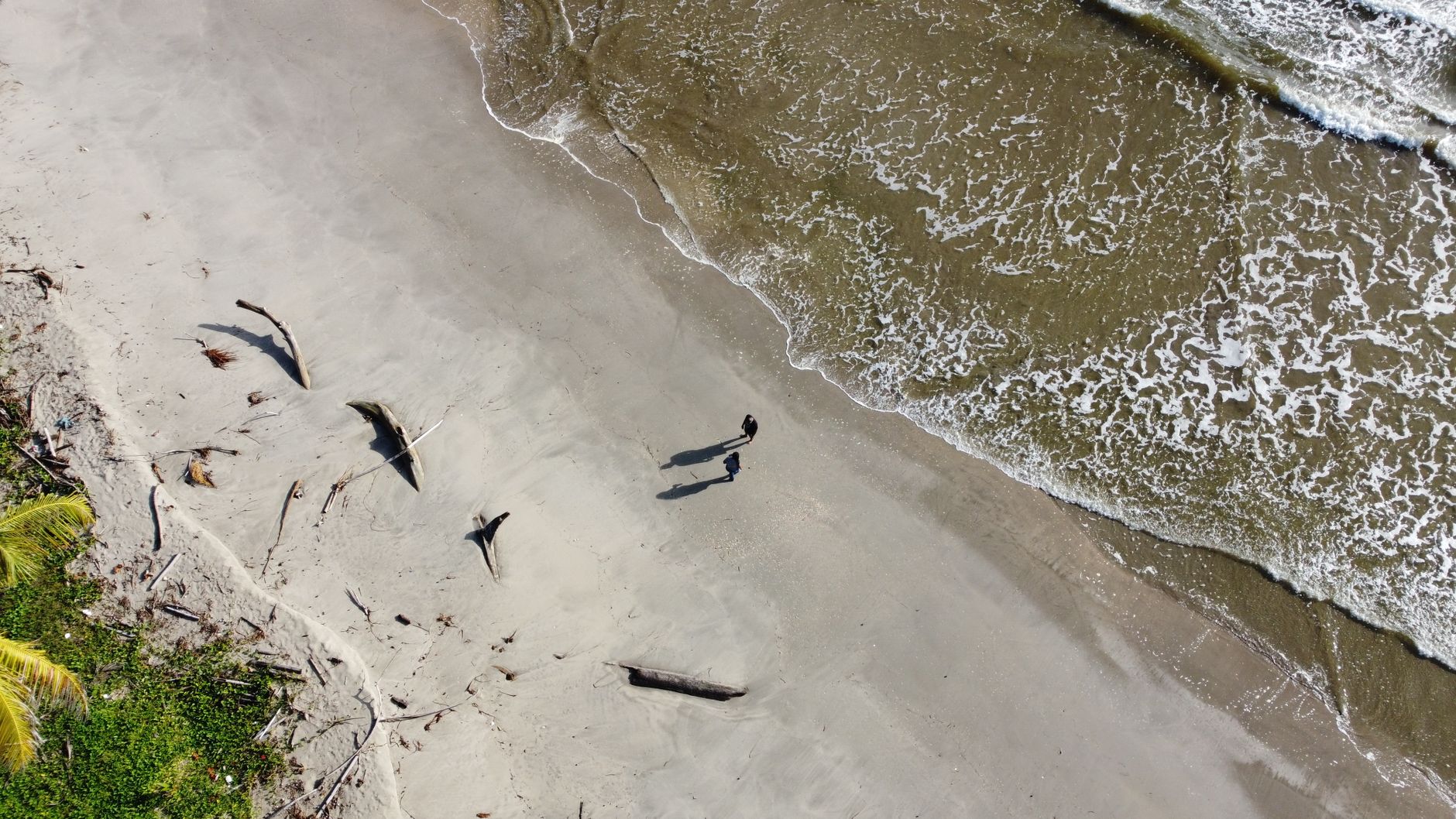 Aerial shot of a tranquil sandy beach in Trinidad and Tobago, featuring gentle waves and people walking.