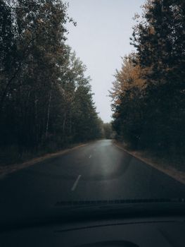 A peaceful drive through a forested road, capturing the essence of serene nature.