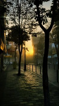 A tranquil urban street scene at sunrise, showcasing tree silhouettes and golden sunlight.
