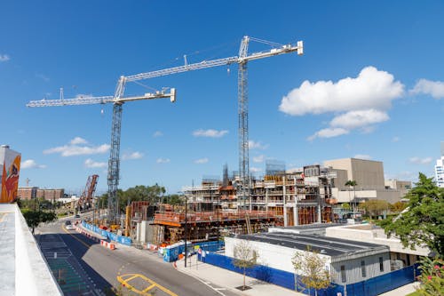 Cranes in Harbor 