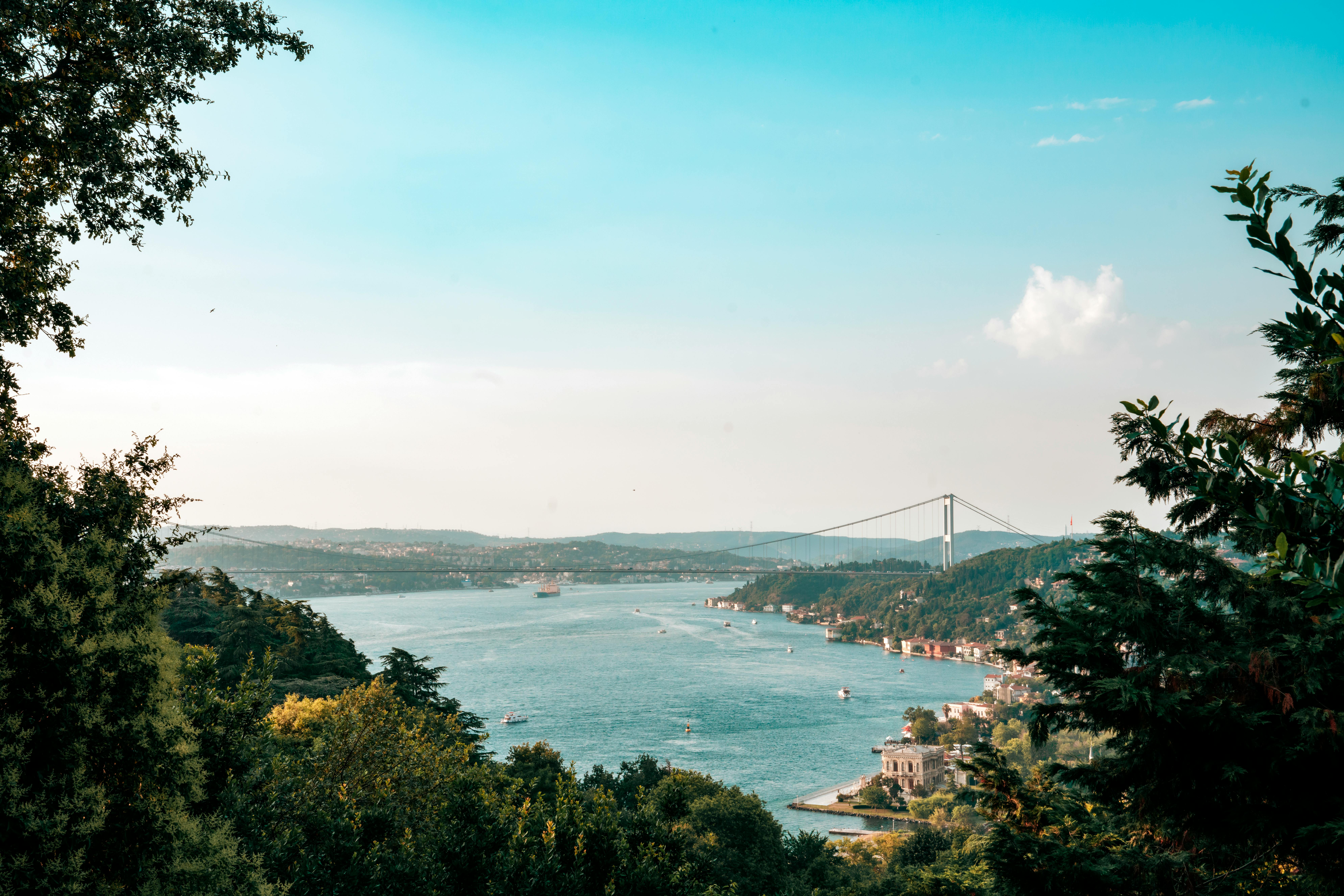 A picturesque view of the Bosphorus Bridge and river in Istanbul surrounded by lush greenery.