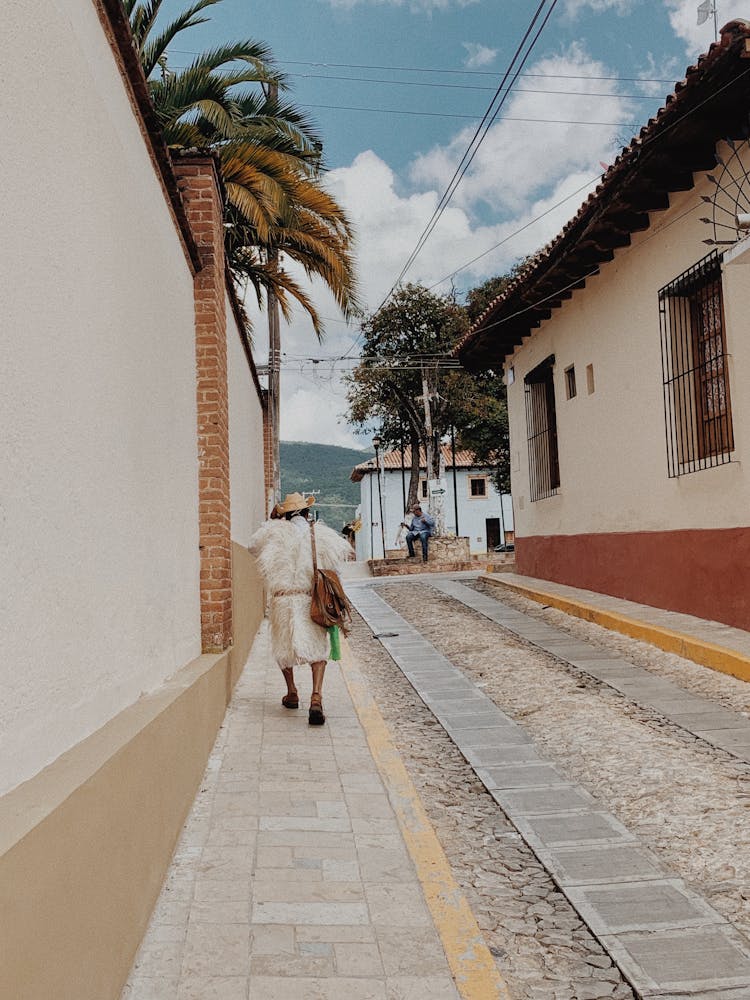 Woman Waring Fur Walking On A Sidewalk