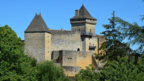 Безкоштовне стокове фото на тему «château de castelnaud, дерева, замків»