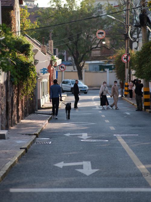 Free A quiet city street with people and a dog walking, surrounded by greenery and road signs. Stock Photo