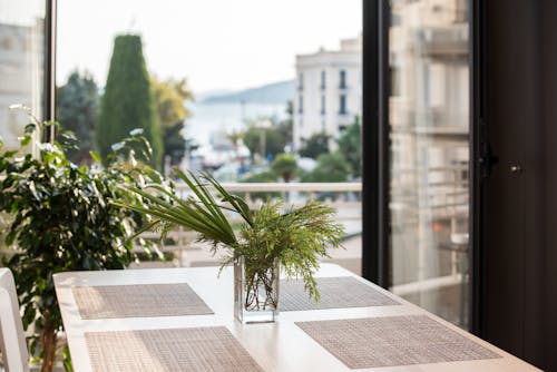 Free Plant In A Vase Stock Photo