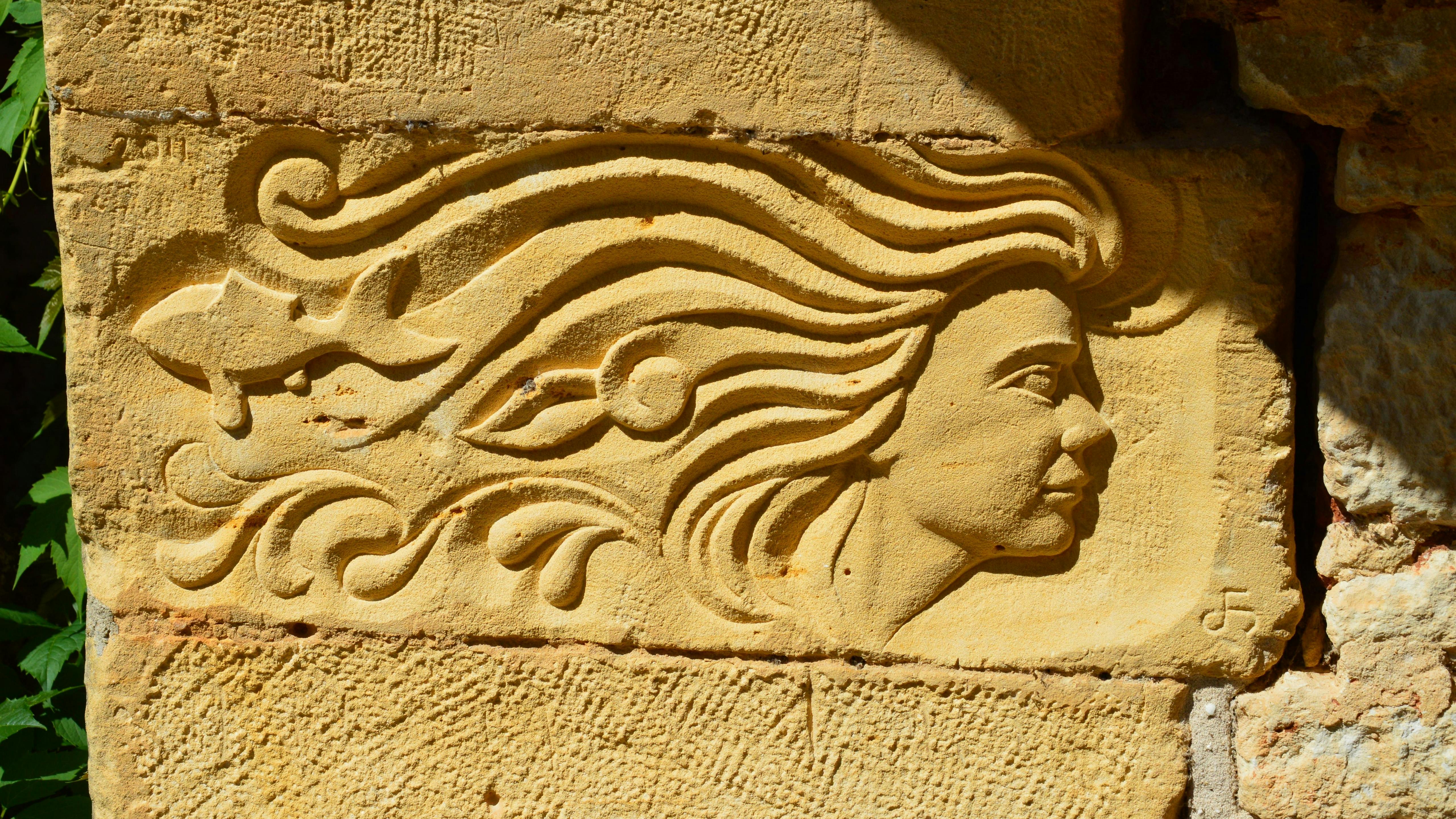 bild_mit_verfilzte haare_2