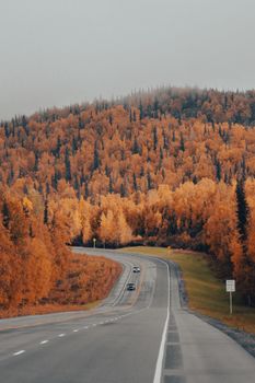 Capture of a winding highway through fall foliage in Talkeetna, Alaska.