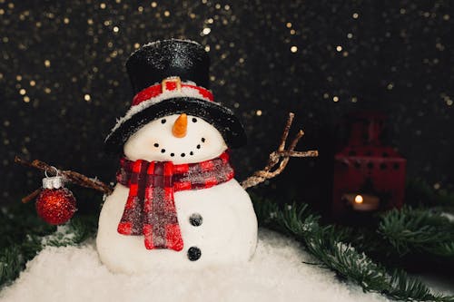 Foto profissional grátis de boneco de neve, com frio, congelado