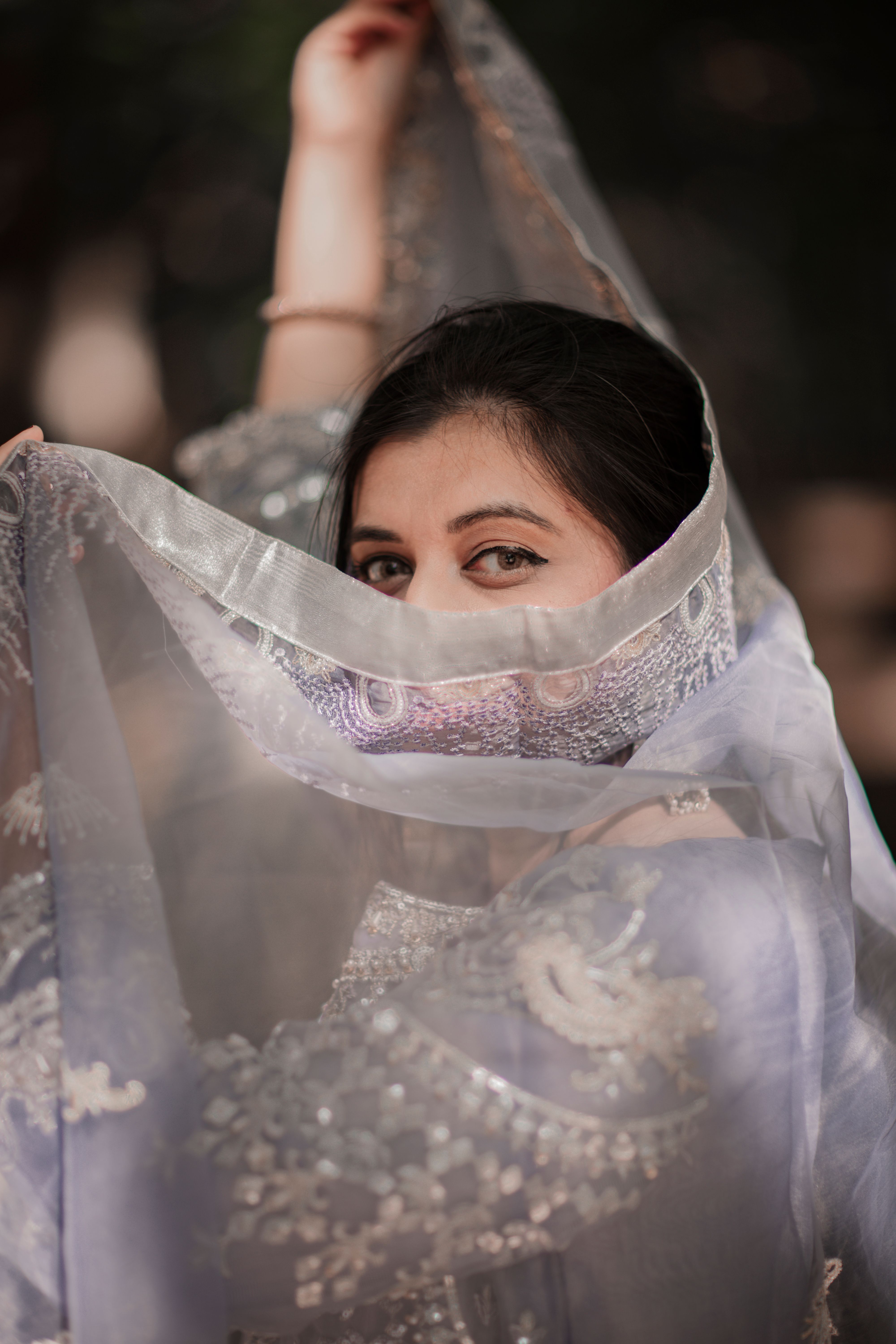 Portrait of Bride with Veil · Free Stock Photo
