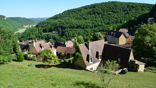 Village near Hill with Forest