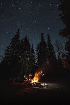 Enjoy a starlit campfire experience amidst tall pines near Salt Lake City, Utah.