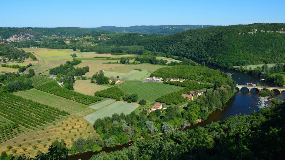 Main Verte