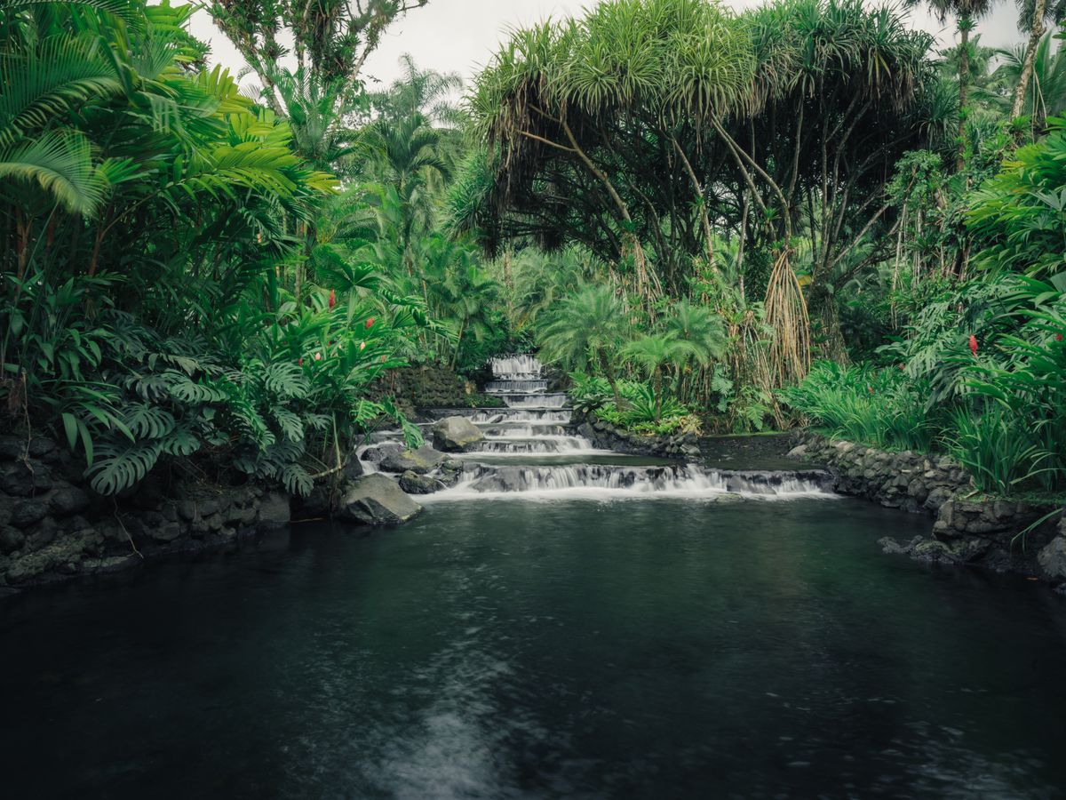 7 Day Empower Your Inner Goddess: Women's Retreat in Costa Rica 2