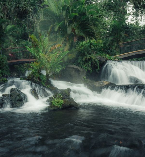 Costa Rica in Winter photo 6