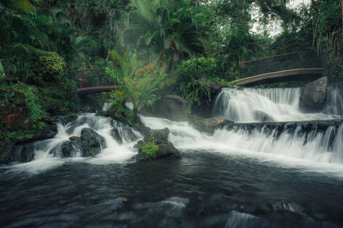 Free Serene tropical waterfall with lush greenery and wooden bridge in a jungle setting, perfect for travel and nature themes. Stock Photo