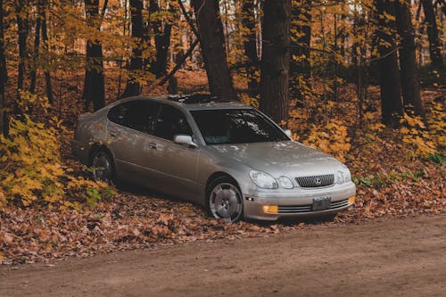 Silver Car Parked Under the Trees