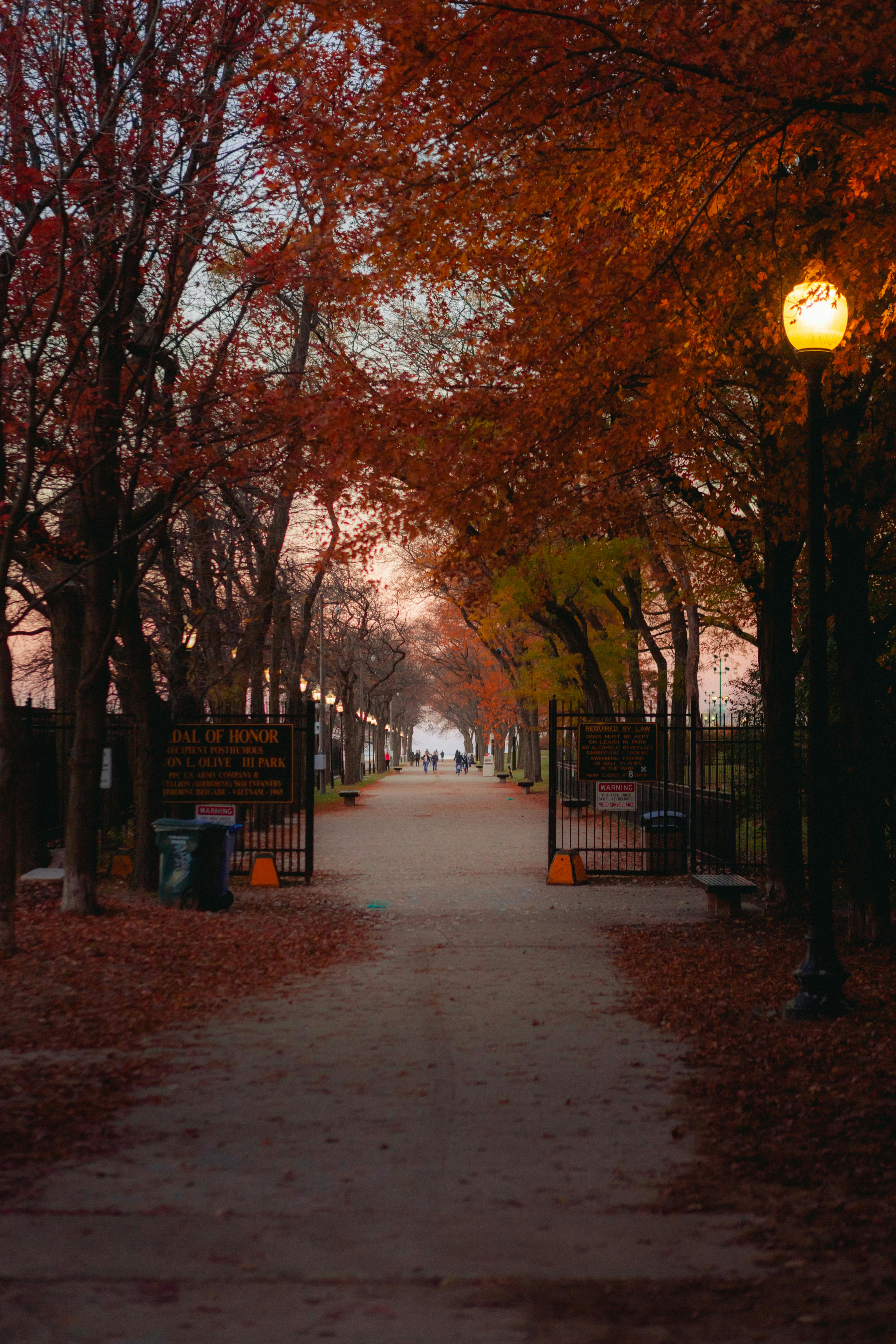 Photo of Park During Fall Season · Free Stock Photo