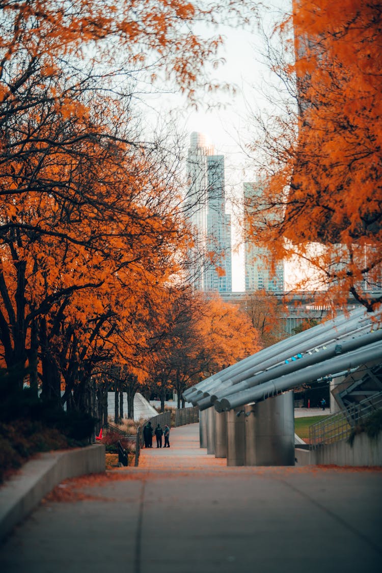 Downtown In Autumn